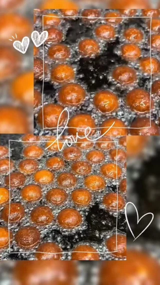 Instagram post from chutneyontop. This post is in position 2.